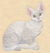 Devon Rex