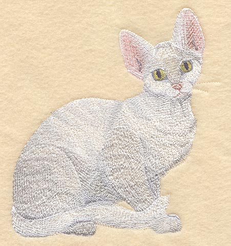 Devon Rex