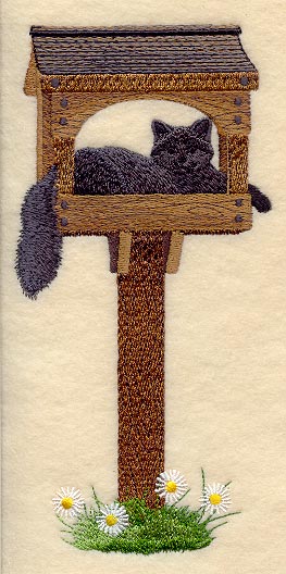 Puddy Cat in Birdfeeder