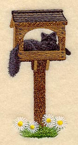 Puddy Cat in Birdfeeder