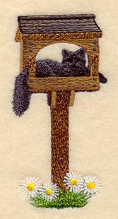 Puddy Cat in Birdfeeder