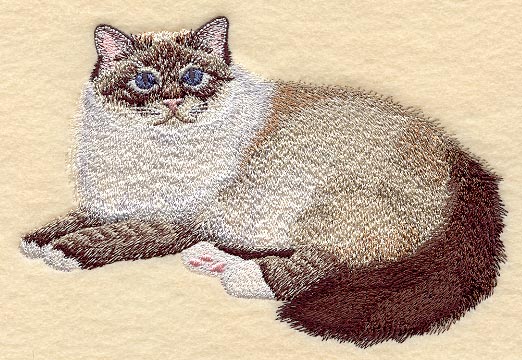 Birman