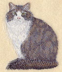 Norwegian Forest Cat