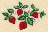 Sweet Strawberries and Blossoms