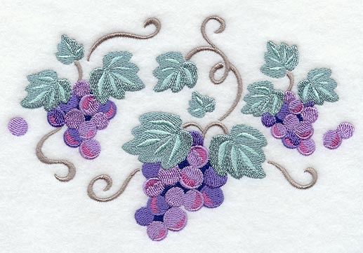 Sweet Grapes and Vines