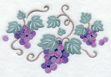 Sweet Grapes and Vines