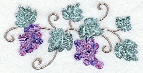 Sweet Grapes and Vines Border