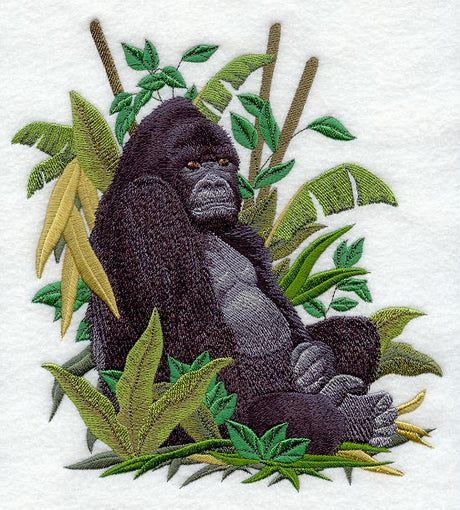 Mountain Gorilla