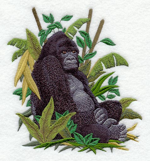 Mountain Gorilla