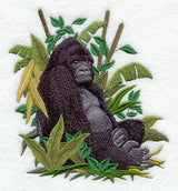Mountain Gorilla