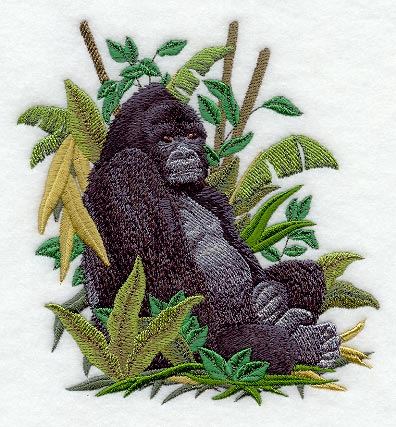 Mountain Gorilla