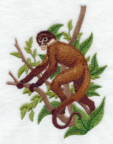 Black-handed Spider Monkey – Embroidery Library