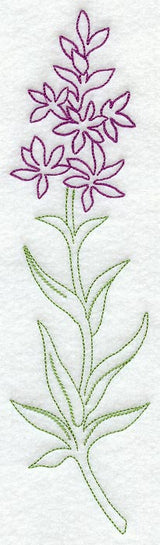 Loosestrife (Vintage)