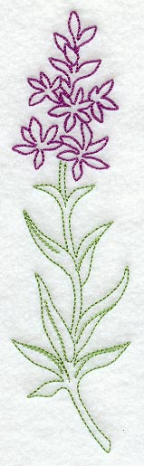 Loosestrife (Vintage)