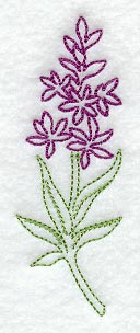 Loosestrife (Vintage)