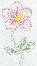 Hibiscus (Vintage)