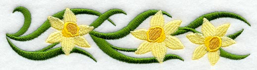 Narcissus Blooms Border