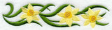 Narcissus Blooms Border