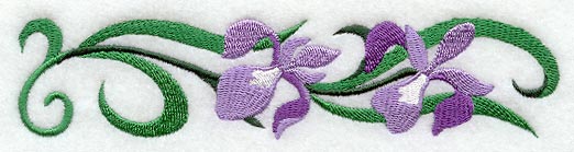 Iris Blooms Border