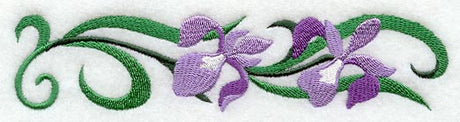 Iris Blooms Border