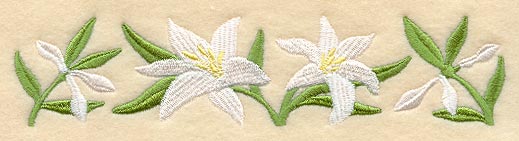 Madonna Lily Blooms Border