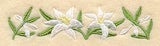 Madonna Lily Blooms Border
