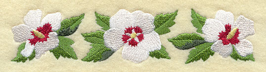 Rose of Sharon Blooms Border