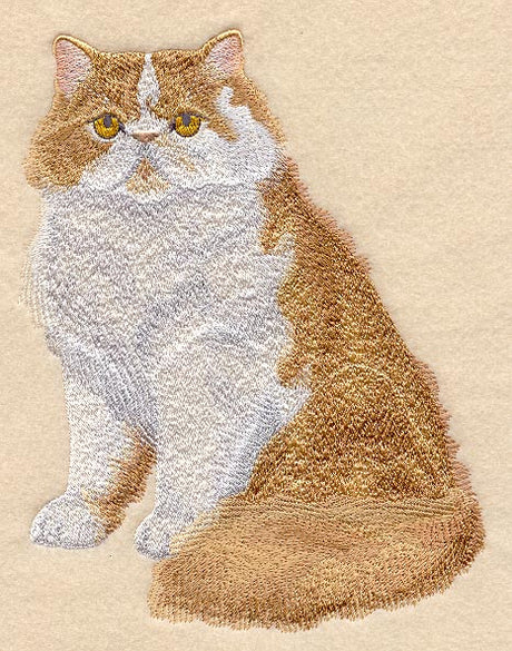 Red and White Persian