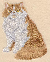 Red and White Persian