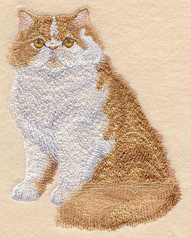 Red and White Persian