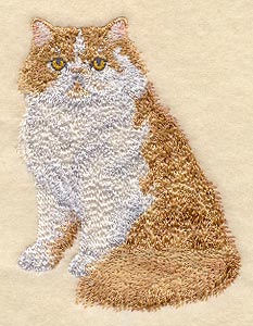 Red and White Persian