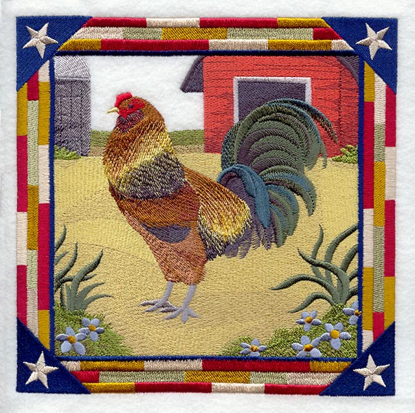 Ameraucana Rooster Square