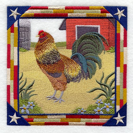 Ameraucana Rooster Square