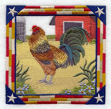 Ameraucana Rooster Square