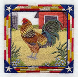 Ameraucana Rooster Square