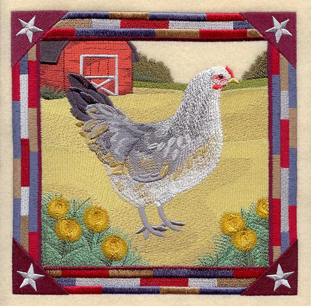 Ameraucana Hen Square