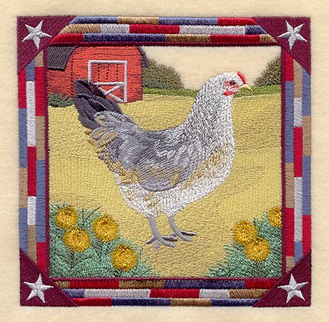 Ameraucana Hen Square