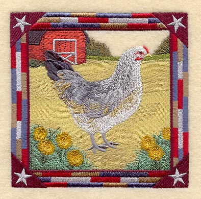 Ameraucana Hen Square