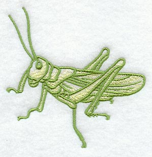 Grasshopper