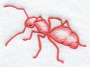 Ant