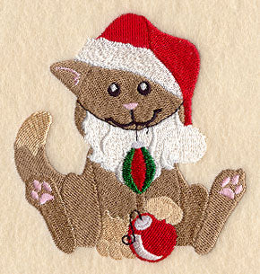 Caroline Cat Plays Santa