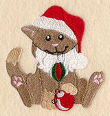 Caroline Cat Plays Santa