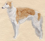 Borzoi (Russian Wolfhound)