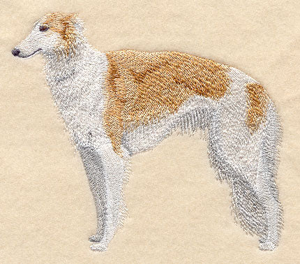 Borzoi (Russian Wolfhound)