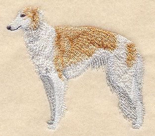 Borzoi (Russian Wolfhound)