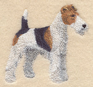 Wirehaired Fox Terrier