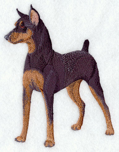Miniature Pinscher