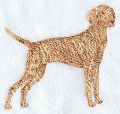 Vizsla