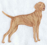 Vizsla