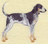 Bluetick Coonhound